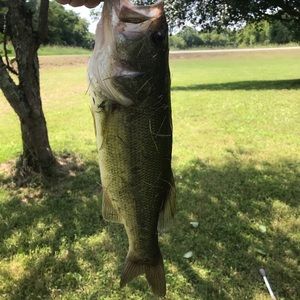 Meet your Posher, Ben